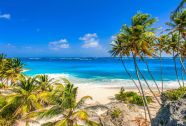 Book Announcement Babbs Of Barbados Babb Unabridged Book Announcement Babbs Of Barbados Babb Unabridged