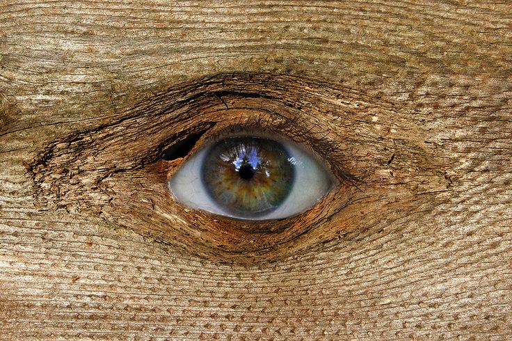 Incest in York – 1666